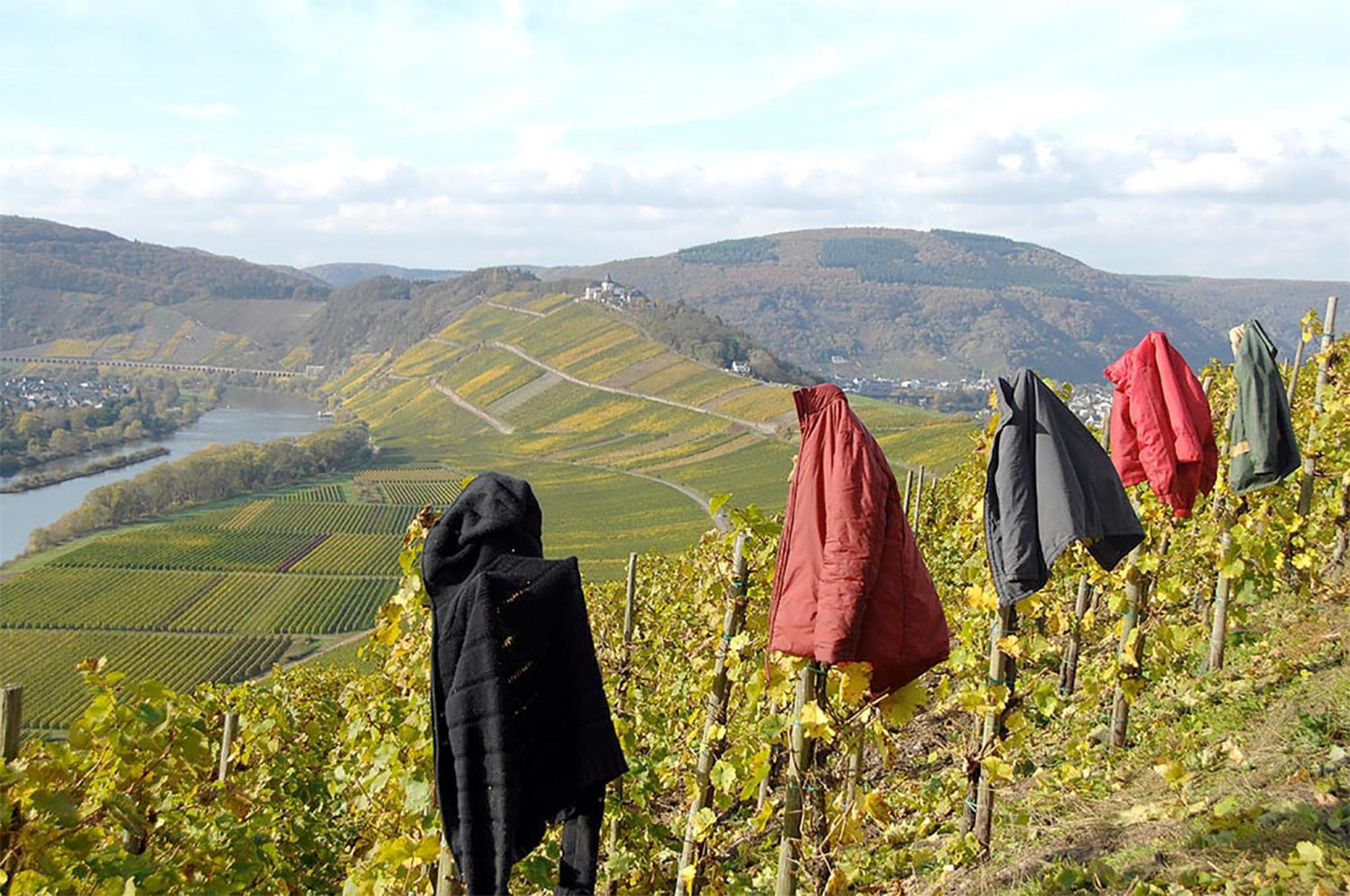 Weingut Rosenbaum Briedel Exterior foto