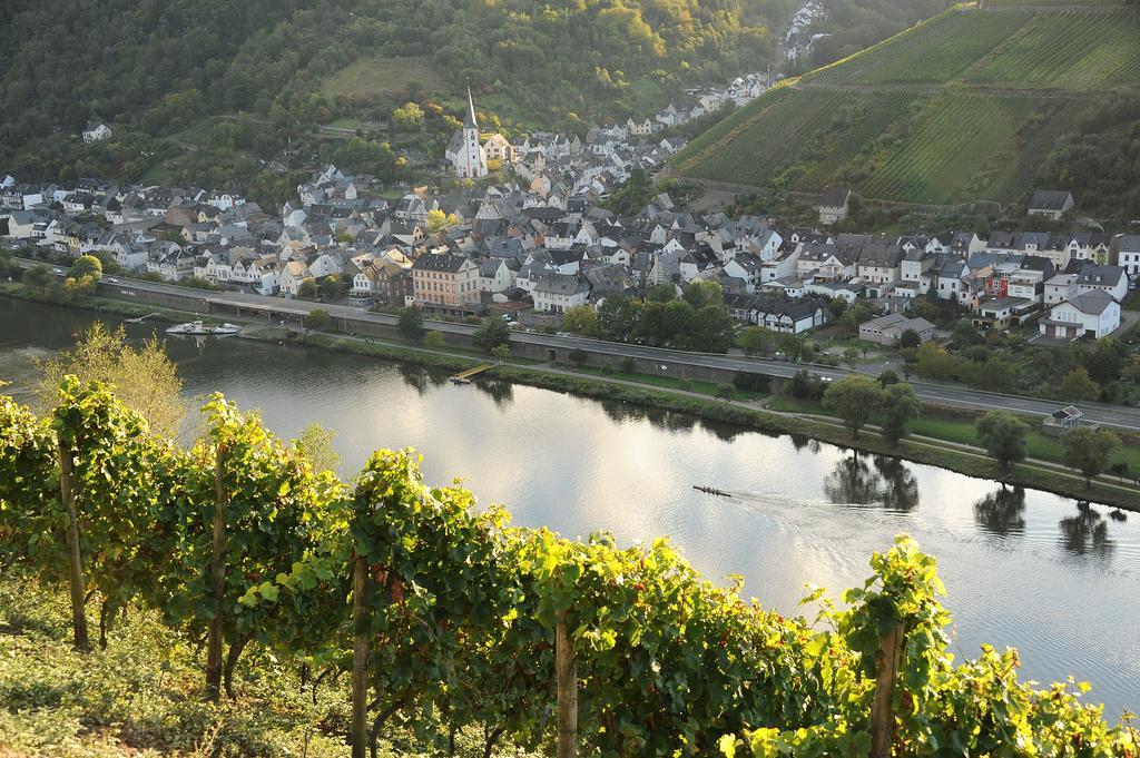 Weingut Rosenbaum Briedel Exterior foto
