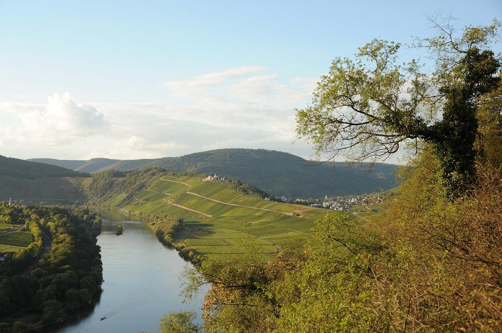Weingut Rosenbaum Briedel Exterior foto