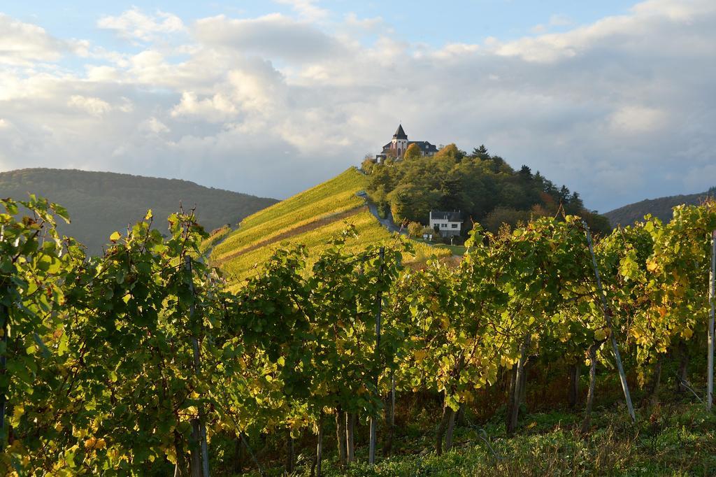 Weingut Rosenbaum Briedel Exterior foto
